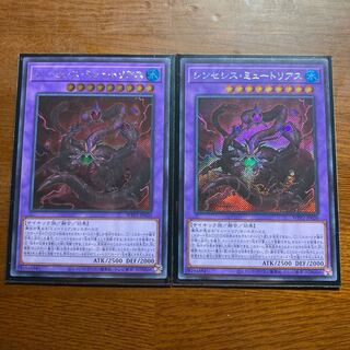 シク2枚　シンセシス・ミュートリアス　シークレット