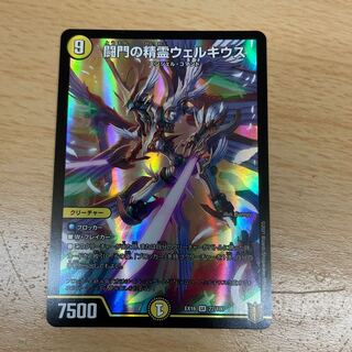 闘門の精霊ウェルキウス