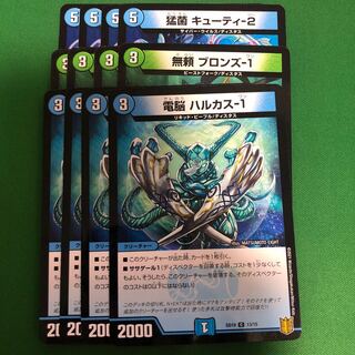 キューティー-2 ブロンズ-1 ハルカス-1