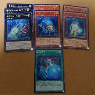 【電子光虫】カードセット①