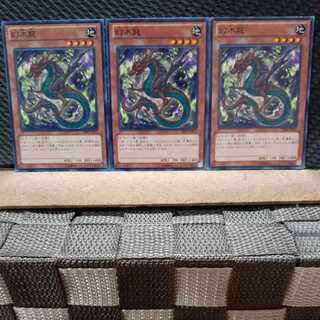 【ぽぽたん】遊戯王 6946  幻木龍 3枚 ノーマル