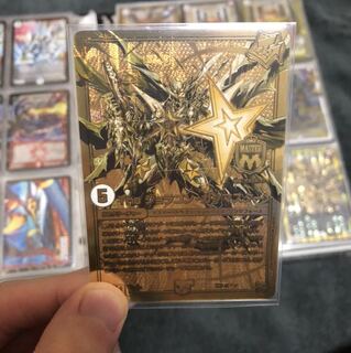 らる様専用 ジョラゴンガンマスター