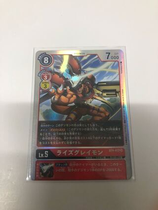 ライズグレイモン