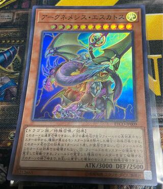 アークネメシス・エスカトス　スーパー