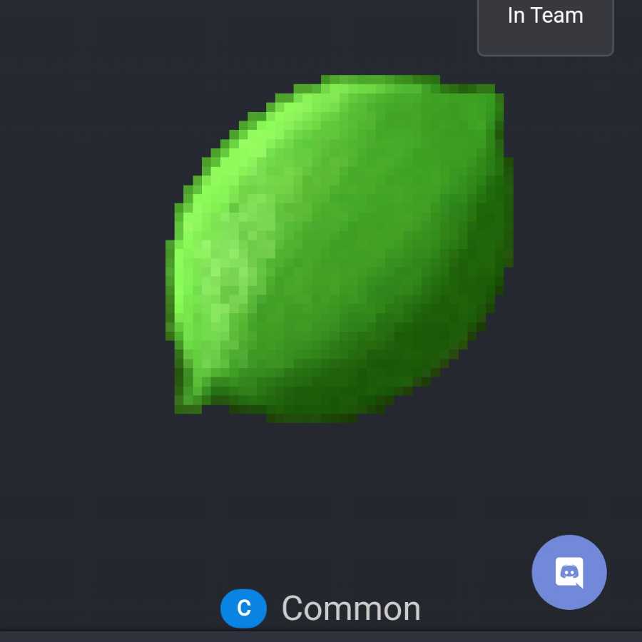 一休LV53＋ライムLv60