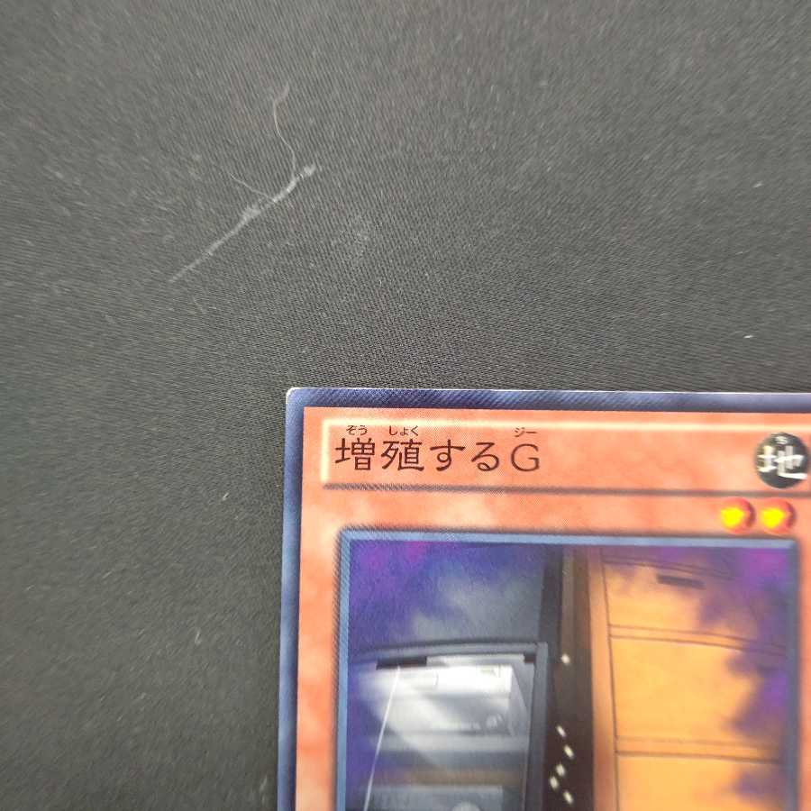 増殖するG ノーマル