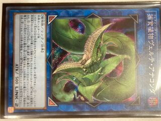 遊戯王　捕食植物ヴェルテ・アナコンダ　シークレット　PSA10 美品】アジア 遊戯王 捕食植物ヴェルテ・アナコンダ アジア