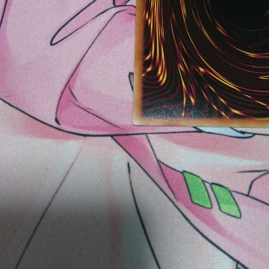 しんご様専用 教導の聖女エクレシア プリズマセット