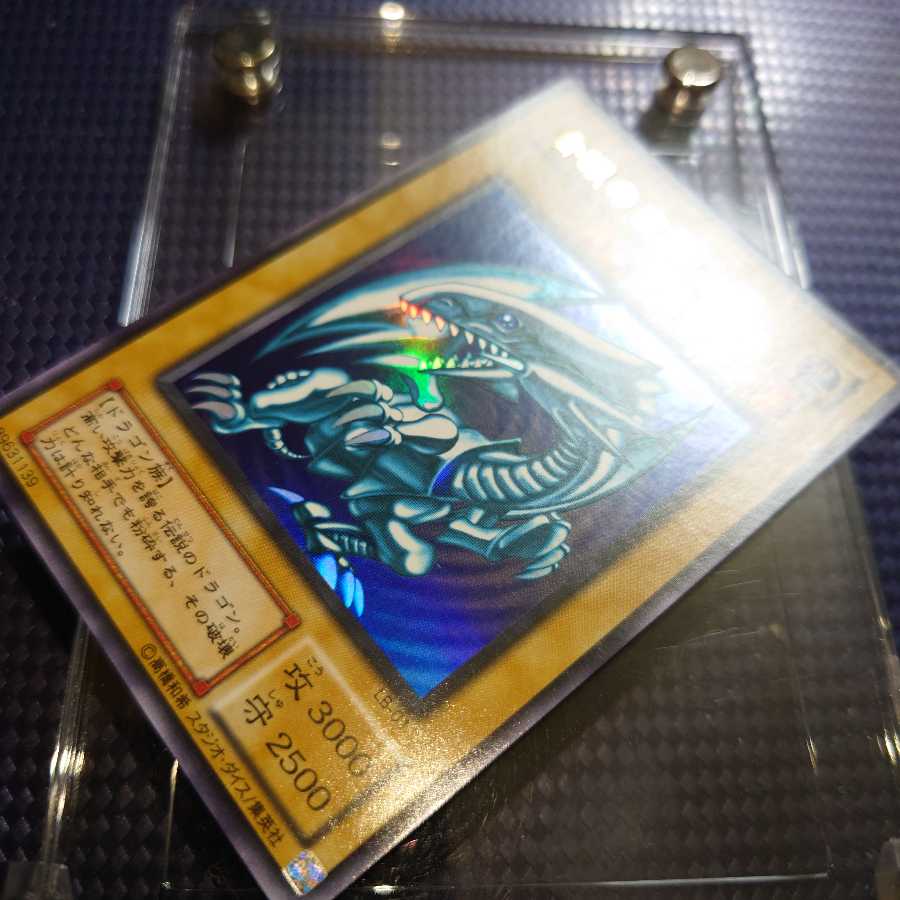 Blue-Eyes White Dragon Snubbull-Eyes Ho Skull Servant Dragon 2 term Hara