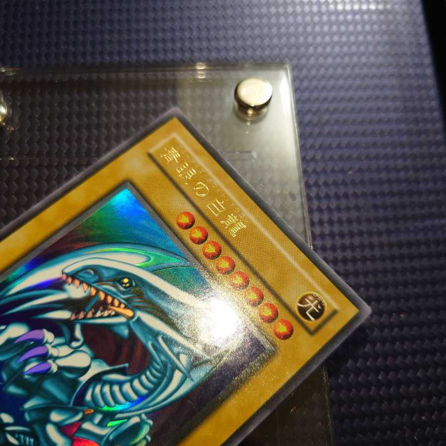 Blue-Eyes White Dragon Snubbull-Eyes Ho Skull Servant Dragon 2 term Hara