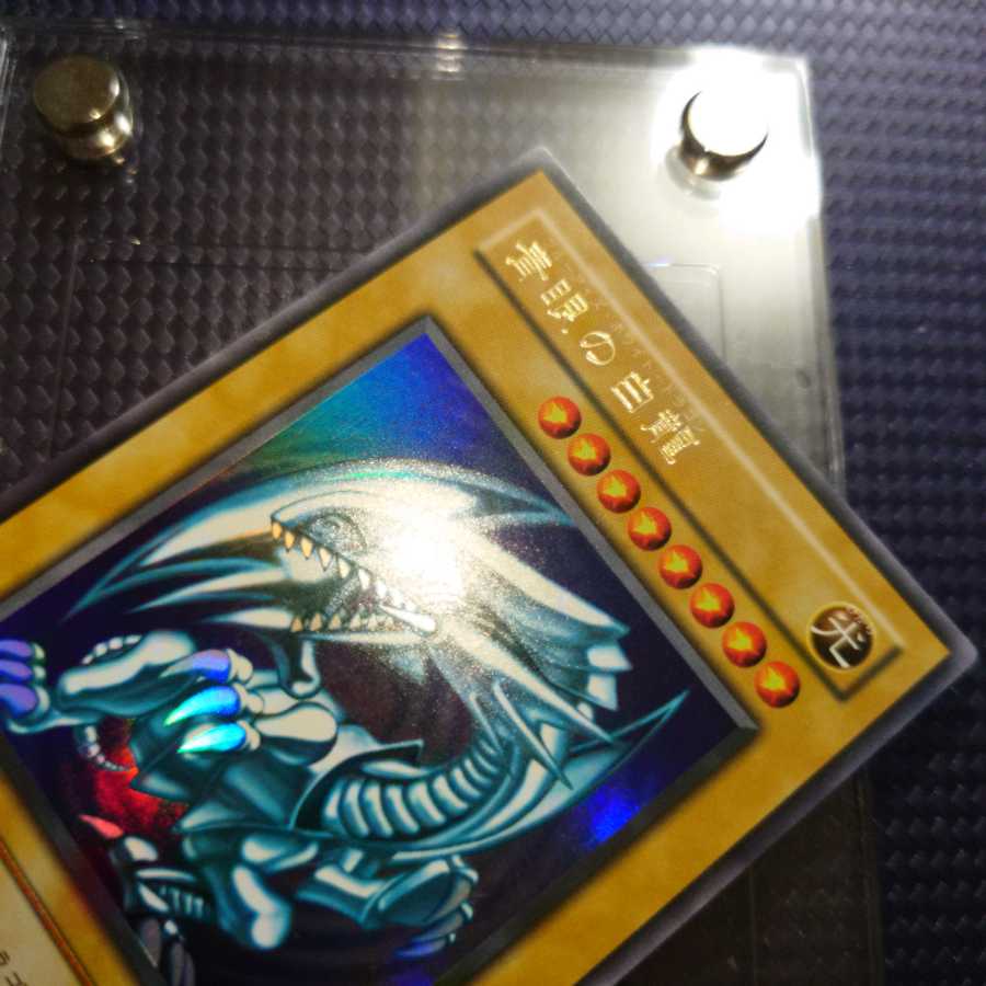 Blue-Eyes White Dragon Snubbull-Eyes Ho Skull Servant Dragon 2 term Hara