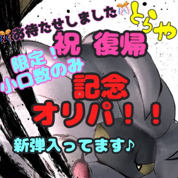 いおり様専用 とらやのオリパの通販 とら屋☆（643732657） | magi
