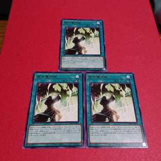 高尚儀式術 ３枚