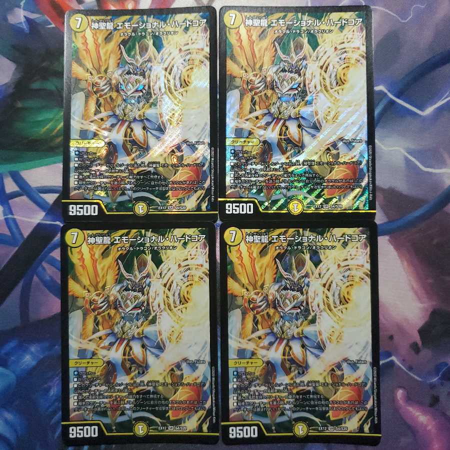 神聖龍 エモーショナル・ハードコア SR