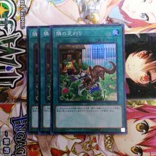 隣の芝刈り スーパーレア　3枚セット