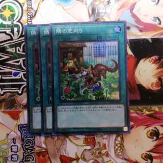 隣の芝刈り スーパーレア　3枚セット