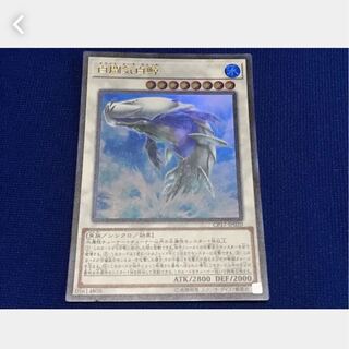 【ぽぽたん】遊戯王 白闘気白鯨 ウルトラ