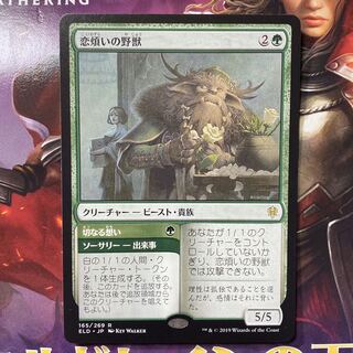 恋煩いの野獣 mtg