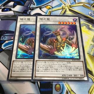 瑚之龍 スーパーレア　Hulu 1698 1997