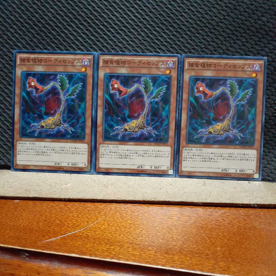 [Popotan] Yu-Gi-Oh! 5674 Predaplant Cordyceps 3 pieces Normal