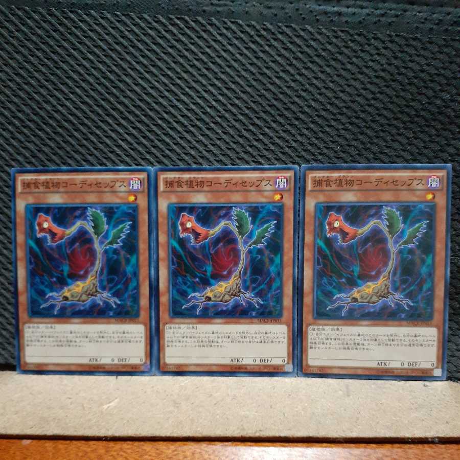 [Popotan] Yu-Gi-Oh! 5674 Predaplant Cordyceps 3 pieces Normal