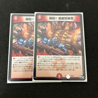 ゆうたさん専用 爆殺 覇悪怒楽苦 2枚