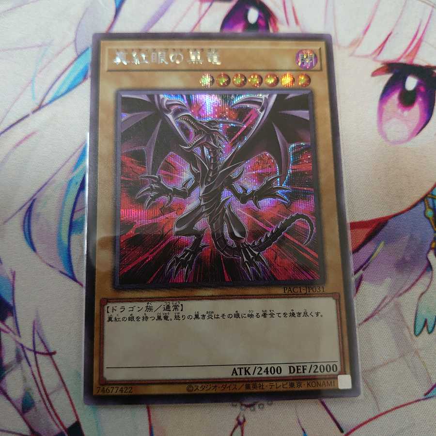 真紅眼の黒竜 イラスト違い シークレットレア