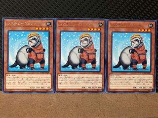 【ぽぽたん】遊戯王 7747 レスキューフェレット 3枚 レア