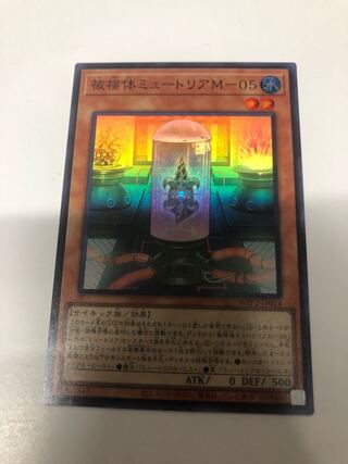 被検体ミュートリアM-05