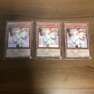 Ash Blossom & Joyous Spring (Umi external illustration) Secret Rare: 3 copies