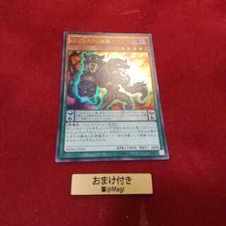 DDケルベロス ウルトラレア