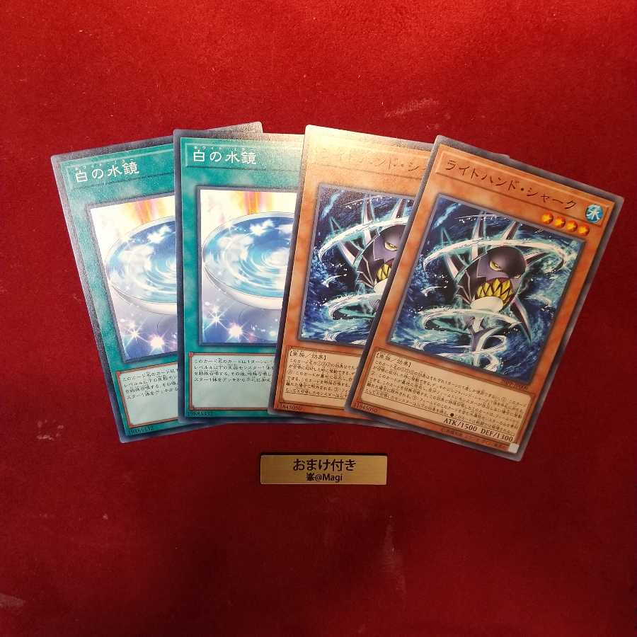 白の水鏡 ライトハンド・シャーク