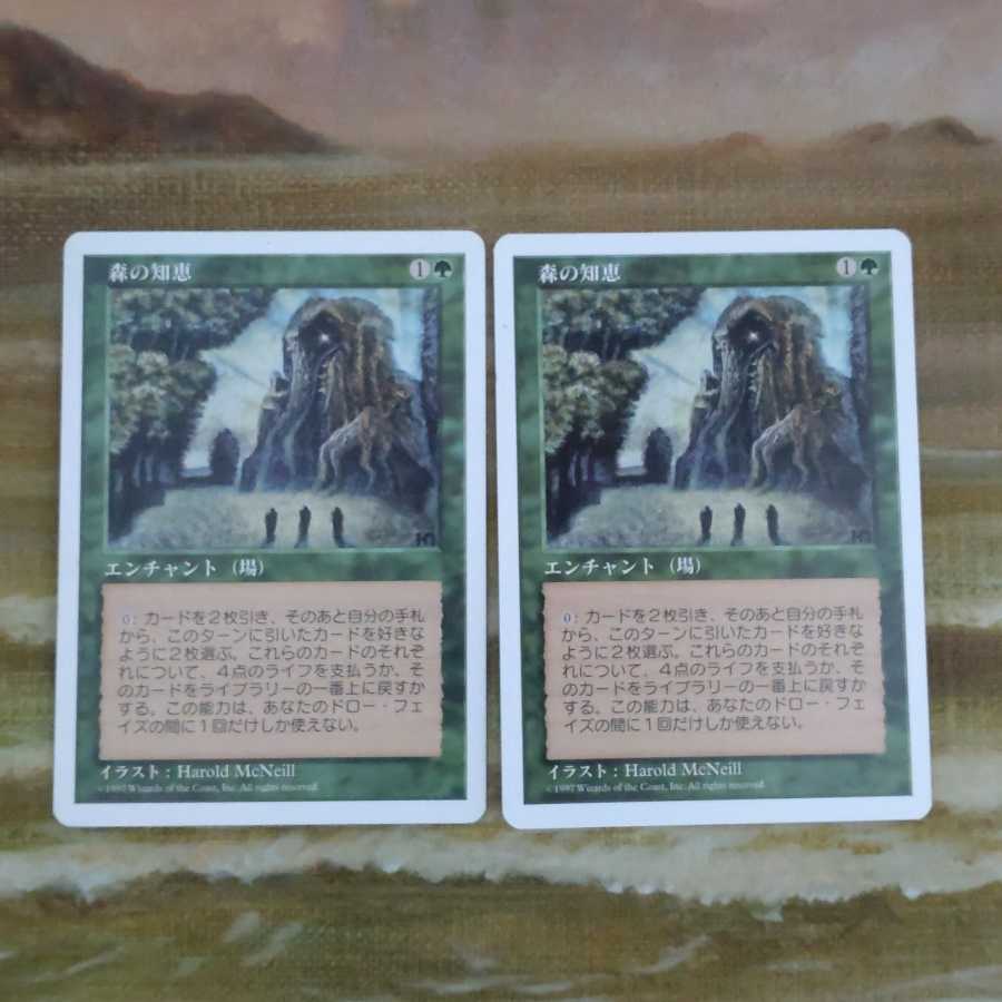 森の知恵 まとめ