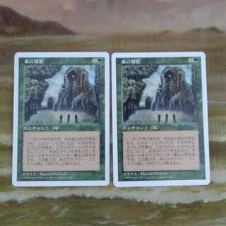 森の知恵　まとめ