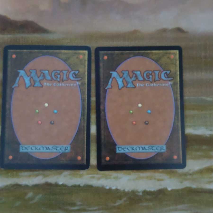 森の知恵 まとめ