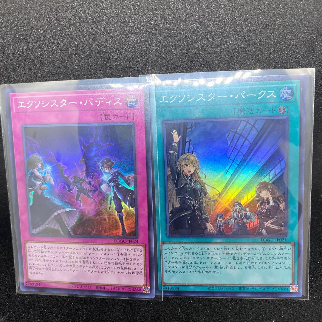 セクソシスター・パークス その他