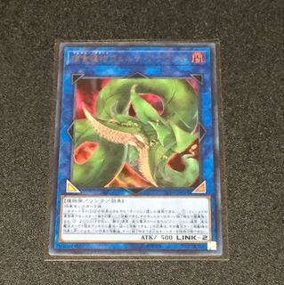 捕食植物ヴェルテアナコンダ