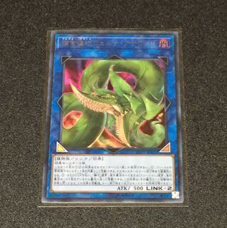 捕食植物ヴェルテアナコンダ