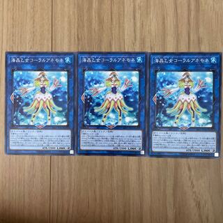 海晶乙女コーラルアネモネ　ノーマル