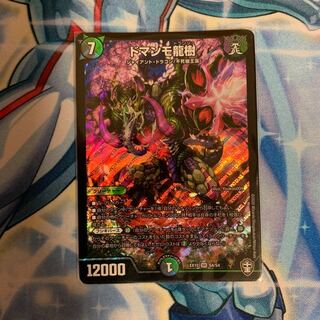 ドマンモ龍樹  1枚