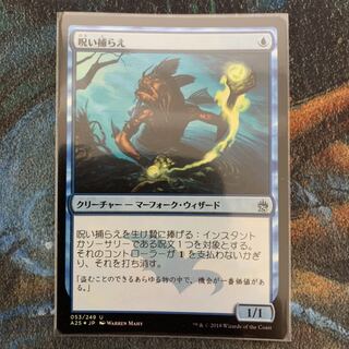 MTG Cursecatcher Japanese Foil