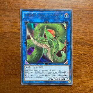 遊戯王　捕食植物ヴェルテ・アナコンダ　シークレット　PSA10 遊戯王 捕食植物ヴェルテアナコンダ プレデタープランツ シク