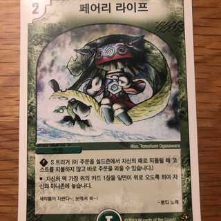 韓国版 デュエルマスターズ　フェアリーライフ