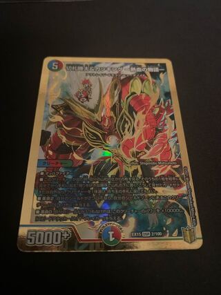 専用　切札勝太&カツキング -熱血の物語- DSR