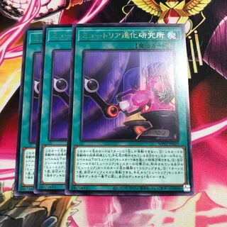 ミュートリア進化研究所 レア