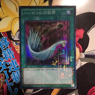 ハーピィの羽根帚 ミレニアム