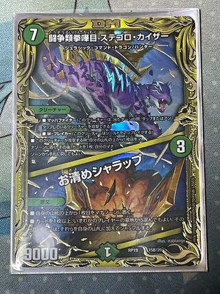 闘争類拳嘩目 ステゴロ・カイザー｜お清めシャラップ