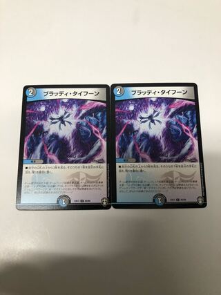 ブラッディ・タイフーン2枚セット