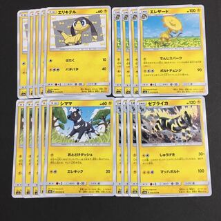 Heliolisk Zebstrika Helioptile Blitzle