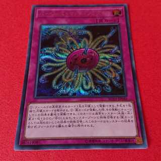 バージェストマディノミスクス シークレットレア